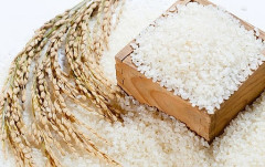 Giá lúa gạo ngày 27/8: Giá lúa tiếp tục tăng 100 đồng