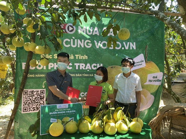 Lễ ký kết giữa Viettel Post và người trồng bưởi Hà Tĩnh