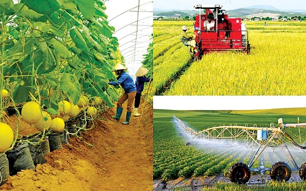 Bộ Nông nghiệp và Phát triển nông thôn đã có văn bản số 4573/BNN-VP báo cáo Thủ tướng Chính phủ đề xuất một trong các giải pháp hỗ trợ sản xuất, tiêu thụ nông sản trong điều kiện dịch COVID-19