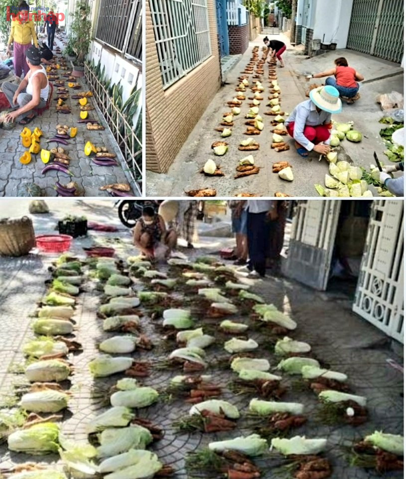 Những bó rau, bì gạo từ các mạnh thường quân gửi đến tận tay người dân tổ 1 thôn Đại La, xã Hòa Sơn, H. Hòa Vang, TP Đà Nẵng.