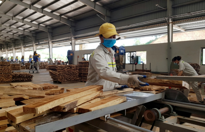 Cơ sơ chế biến gỗ tại Công ty cổ phần Gemmy Tân Sơn cụm công nghiệp Tân Phú, huyện Tân Sơn (Phú Thọ)