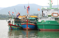 Nghệ An: Phê duyệt Quy hoạch Dự án Cảng thủy nội địa tổng hợp và Dịch vụ hậu cần nghề cá tại xã Quỳnh Lộc, TX. Hoàng Mai