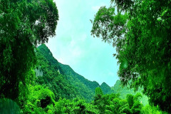 Thanh Hóa: Lập kế hoạch bảo vệ rừng tại huyện Như Thanh giai đoạn 2021- 2030