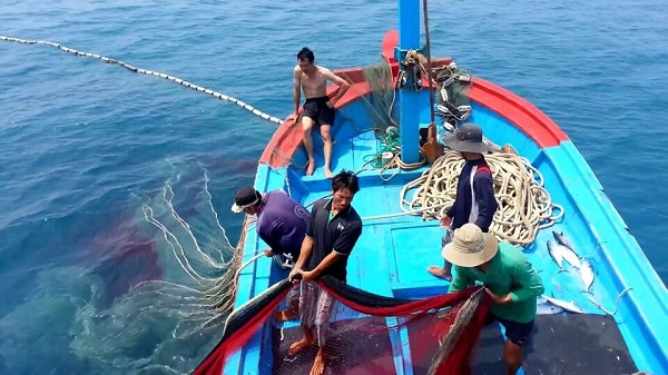 Quyết liệt xử phạt các đối tượng vi phạm khai thác hải sản bất hợp pháp và không khai báo theo quy định