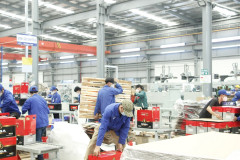 TPHCM: Gần 60% doanh nghiệp trong KCX - KCN đã tái sản xuất