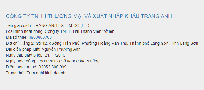 Dừng làm thủ tục hải quan cho Xuất nhập khẩu Trang Anh do sai phạm thuế