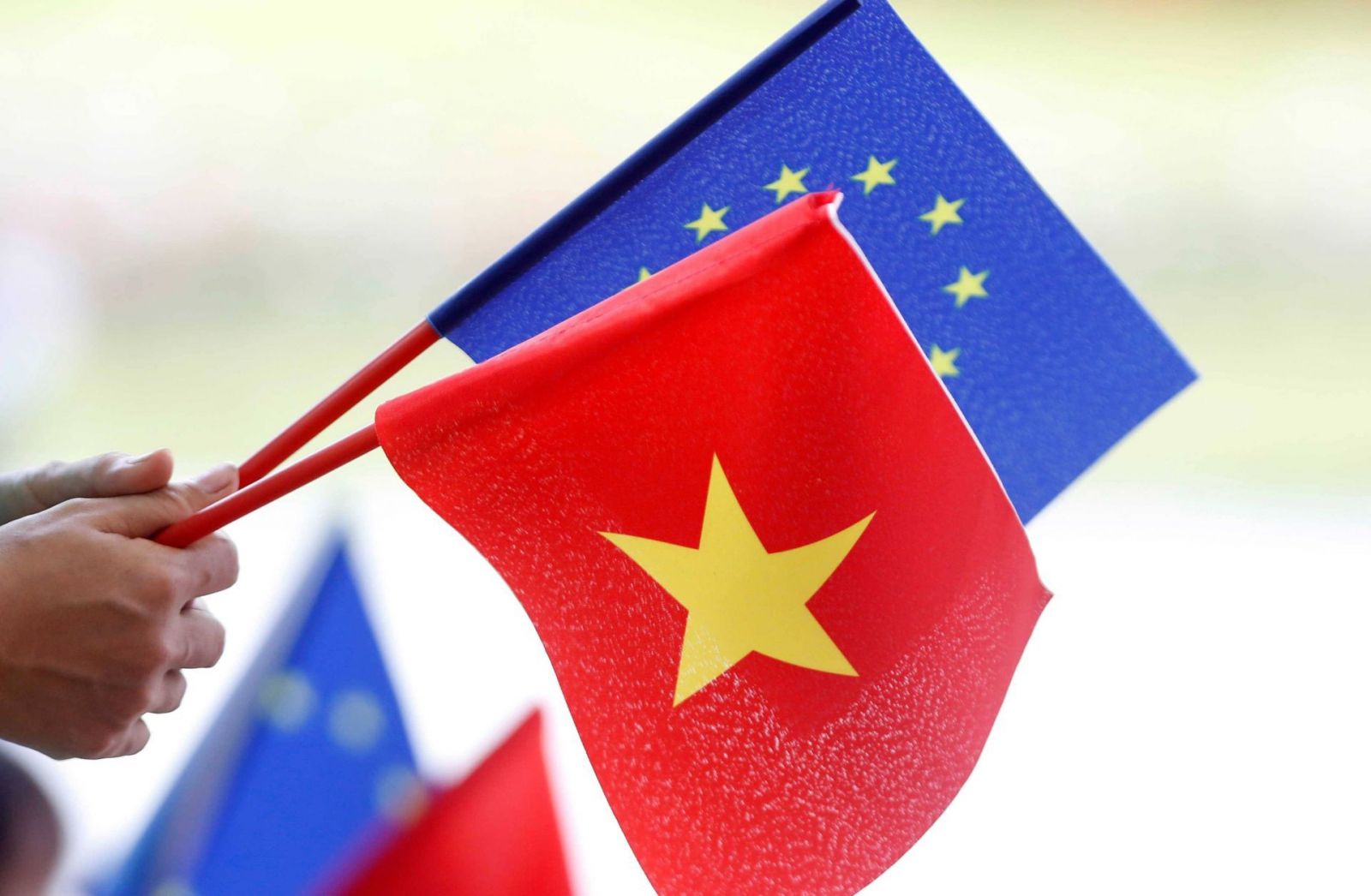 Hiệp định EVFTA đã được thông qua đã góp phần mang đến cho doanh nghiệp Việt Nam cơ hội dễ dàng vào thị trường châu Âu