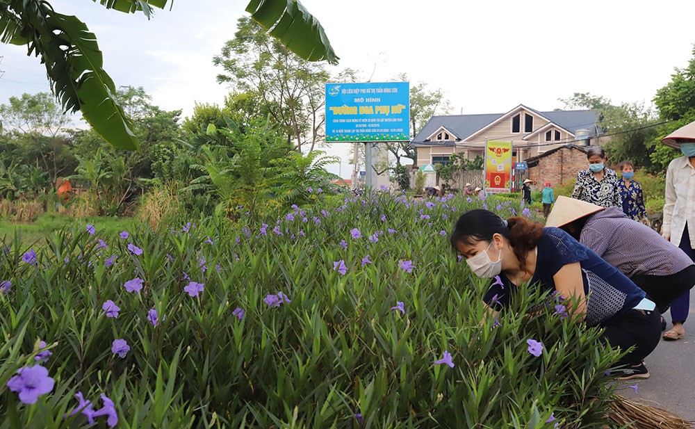 Hội Phụ nữ thị trấn Hùng Sơn, huyện Lâm Thao (Phú Thọ) chăm sóc đường hoa