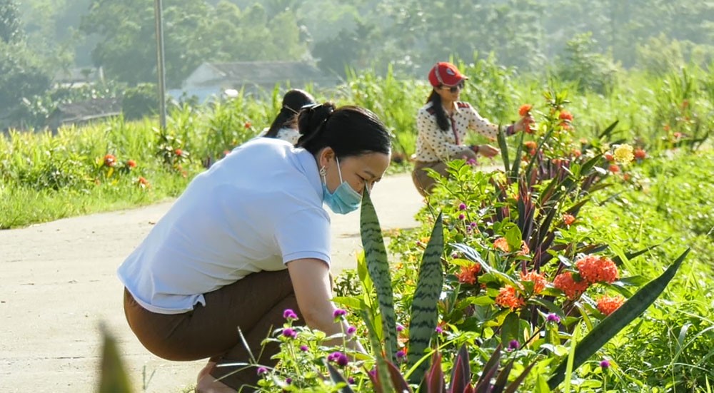Hội viên Hội phụ nữ thị trấn Yên Lập (Phú Thọ) tích cực trồng và chăm sóc con đường hoa