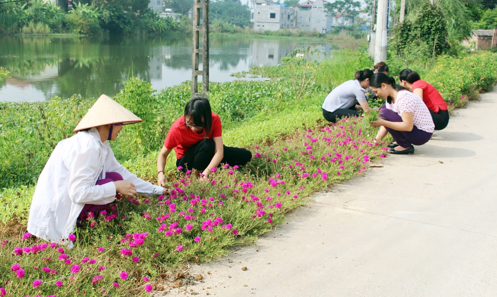 Hội viên phụ nữ xã Hà Thạch, thị xã Phú Thọ chăm sóc con đường hoa