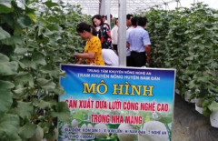 Nam Đàn (Nghệ An): Tạo thuận lợi cho doanh nghiệp liên kết sản xuất với người dân nhằm nâng cao chất lượng, sức cạnh tranh của nông sản