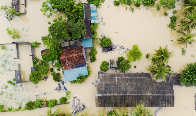 Quỳnh Lưu (Nghệ An): Thiệt hại hơn 119 tỷ đồng do mưa lũ của áp thấp nhiệt đới và hoàn lưu bão số 8 gây ra