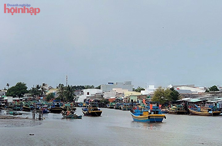 Tàu, thuyền neo đậu trên sông Cà Ty, Tp.Phan Thiết do cấm ra khơi từ 6 giờ ngày 26/10 cho đến khi có thông báo mới.
