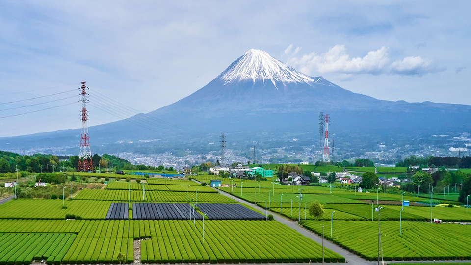 Cách công nghệ đang chuyển đổi nền nông nghiệp của Nhật Bản