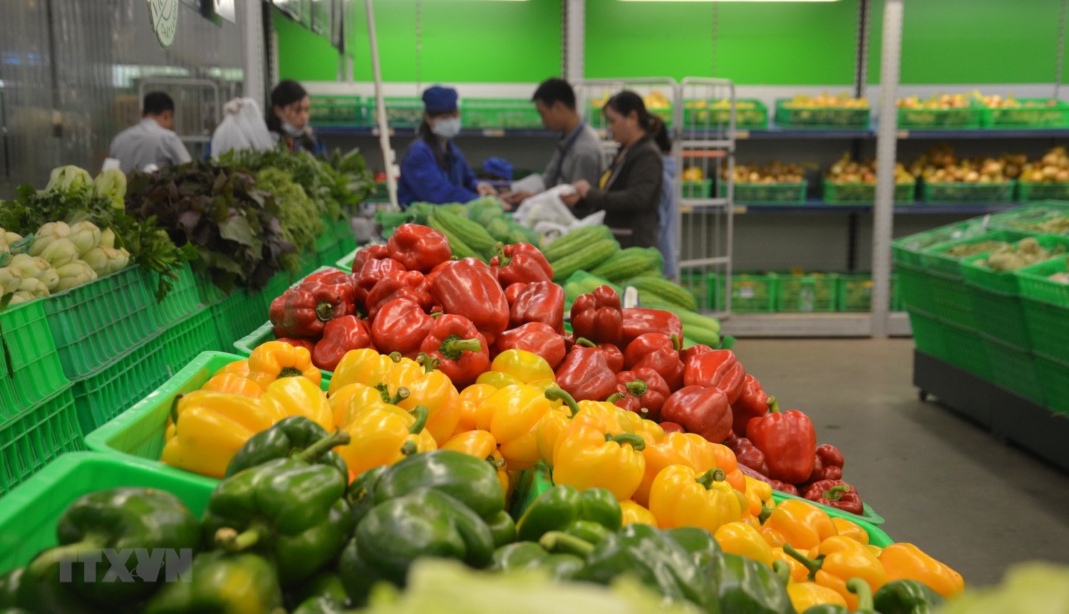 Thị trường EU chấp nhận nhập khẩu rau, củ, quả Việt Nam không cần qua đàm phán