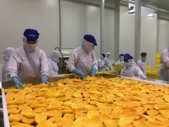 Hoa Kỳ trở thành thị trường xuất khẩu nông sản lớn nhất sang Việt Nam