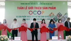 Khai mạc Tuần lễ giới thiệu sản phẩm OCOP và sản phẩm Khu dự trữ sinh quyển miền Tây tỉnh Nghệ An