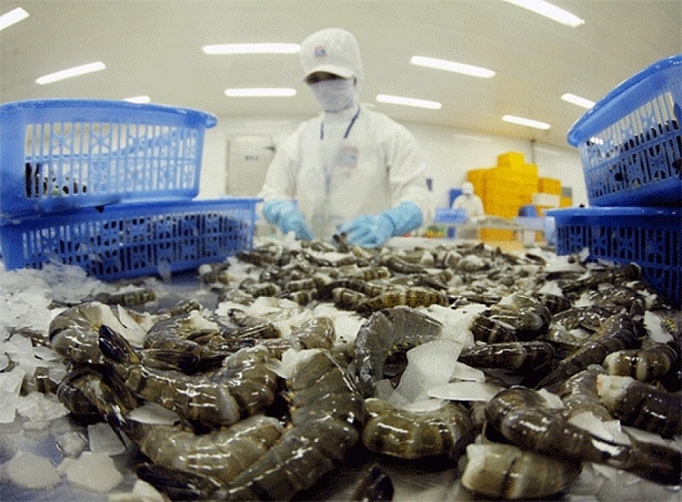 Hải sản là một trong những mặt hàng xuất khẩu chủ lực của tỉnh Kiên Giang.