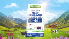 Nutifood hợp tác độc quyền đưa 100% sữa New Zealand bò ăn cỏ tự nhiên  về Việt Nam