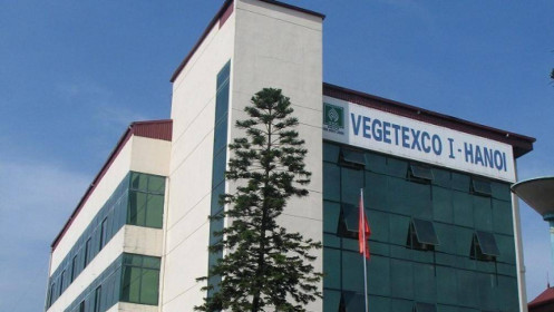 Dòng tiền kinh doanh quý III của Nông sản Vegetexco âm 1.800 tỷ đồng