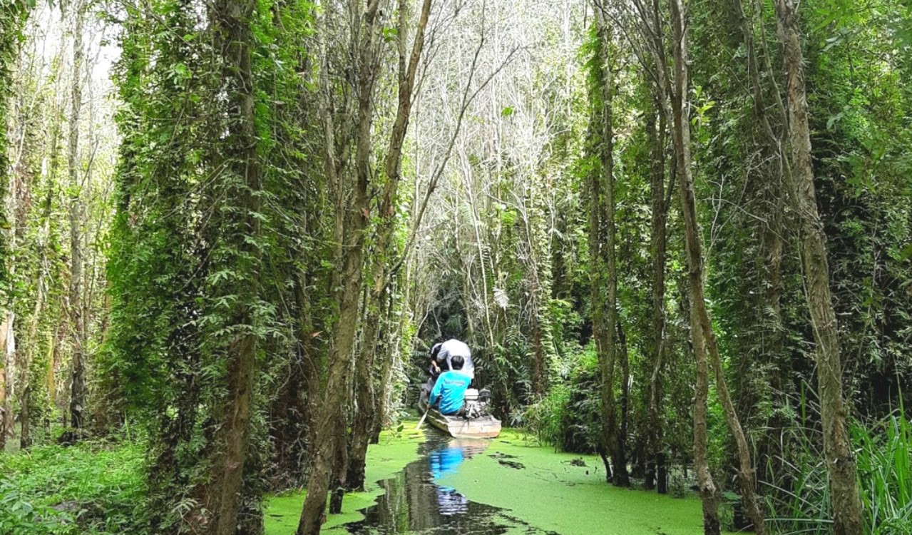 An Giang: sắp có khu du lịch sinh thái rừng ngập mặn