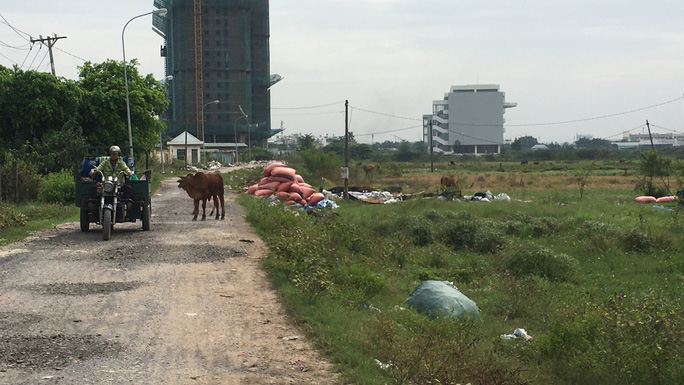 Giá đất ở huyện Bình Chánh tăng chóng mặt vì thông tin lên quận