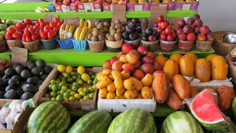 Xuất khẩu rau quả sang Na Uy tăng trưởng rực rỡ