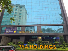 Thaiholdings muốn chuyển nhượng 35% vốn tại Đầu tư Thaihomes