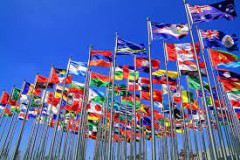 Đại hội đồng WTO quyết định hoãn Hội nghị MC12