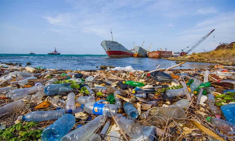 Rác thải nhựa xâm lấn môi trường biển