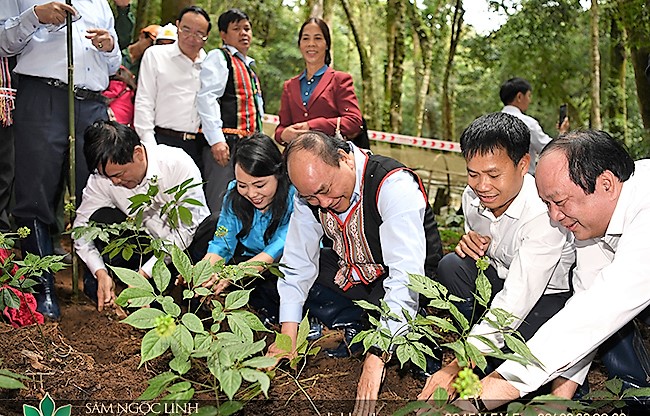 Chủ tịch nước Nguyễn Xuân Phúc, khi còn là Thủ tướng Chính phủ đến thăm vườn sâm của Công ty Cổ phần Sâm Ngọc Linh