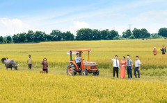 LienVietPostBank: Cho vay nông nghiệp là ưu tiên hàng đầu