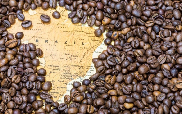 Cà phê tại Brazil - một trong những thị trường xuất khẩu cà phê lớn nhất thế giới