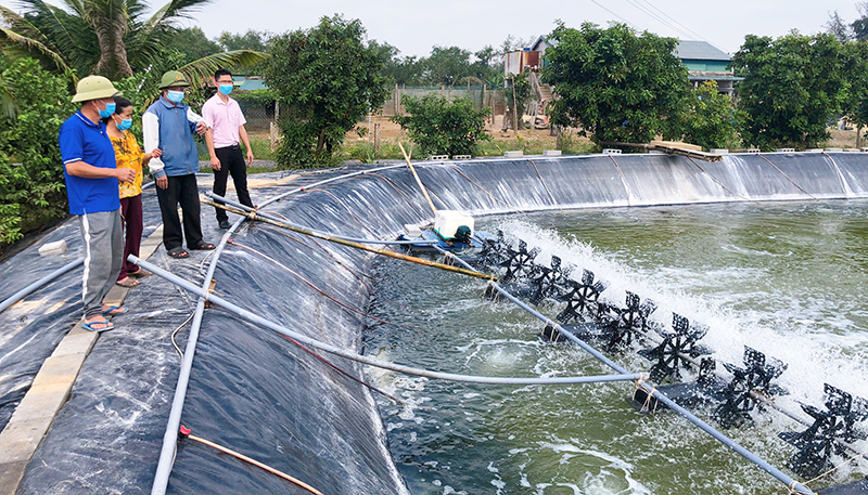 Hồ nuôi tôm, cá của gia đình chị Vũ Minh Hường được sửa chữa, nâng cấp nhằm bảo đảm chất lượng và sản lượng sản phẩm nuôi trồng