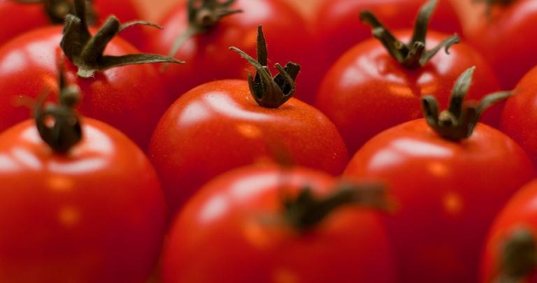 Khan hiếm cà chua ở Trung Quốc và châu Âu dịp cuối năm