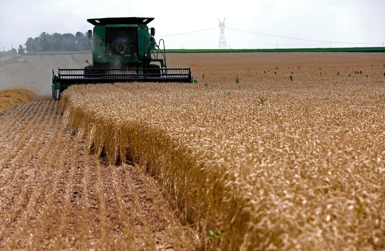 Dầu thô, nhôm, ngô, đậu tương và lúa mì thế giới tiếp tục leo thang về giá