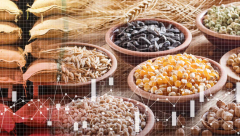 Trung Quốc tích trữ hơn một nửa sô lượng ngũ cốc của thế giới, đẩy giá toàn cầu tăng