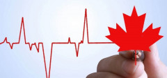 Sự chuyển mình phục hồi kinh tế Canada trong đại dịch COVID-19