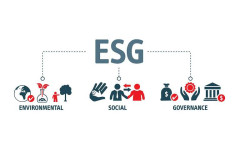 10 câu hỏi về ESG mà các công ty cần trả lời
