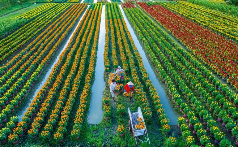 Công cuộc chuyển đổi nền nông nghiệp Việt Nam theo hướng hiện đại hóa