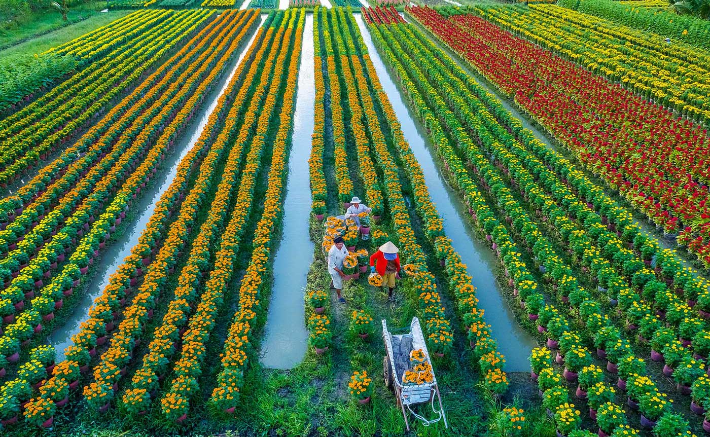 Đến năm 2050 Việt Nam trở thành nước có nền nông nghiệp hàng đầu thế giới