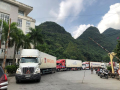 Từ 17/1/2022, Lạng Sơn tạm dừng tiếp nhận xe chở hoa quả tươi