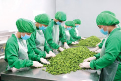 Nhu cầu nhập khẩu rau quả chế biến Việt lớn của Trung Quốc trong 2022