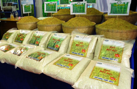 Chứng nhận chủng loại gạo thơm xuất khẩu sang Liên minh châu Âu để miễn thuế