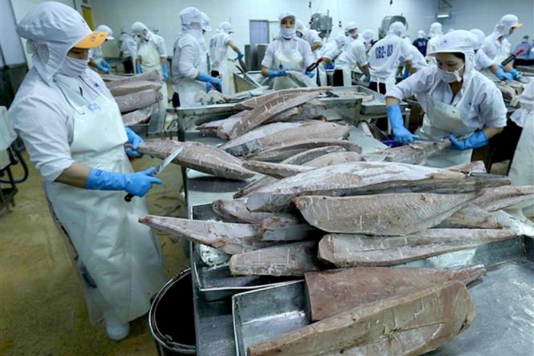 Cá ngừ xuất khẩu sang Hoa Kỳ