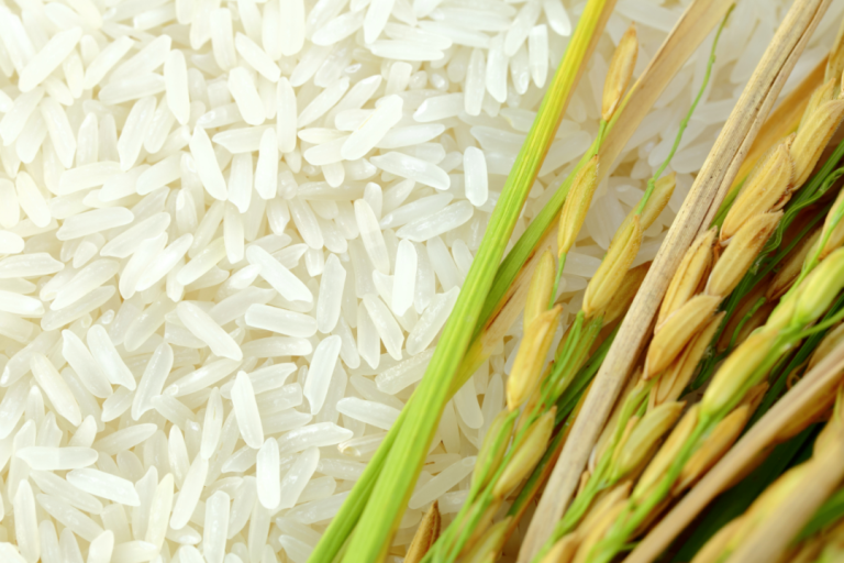 Gạo được nhập khẩu bởi Philippines