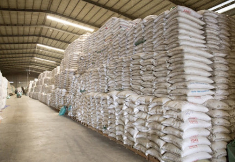 Xuất gạo dự trữ quốc gia hỗ trợ 9 tỉnh