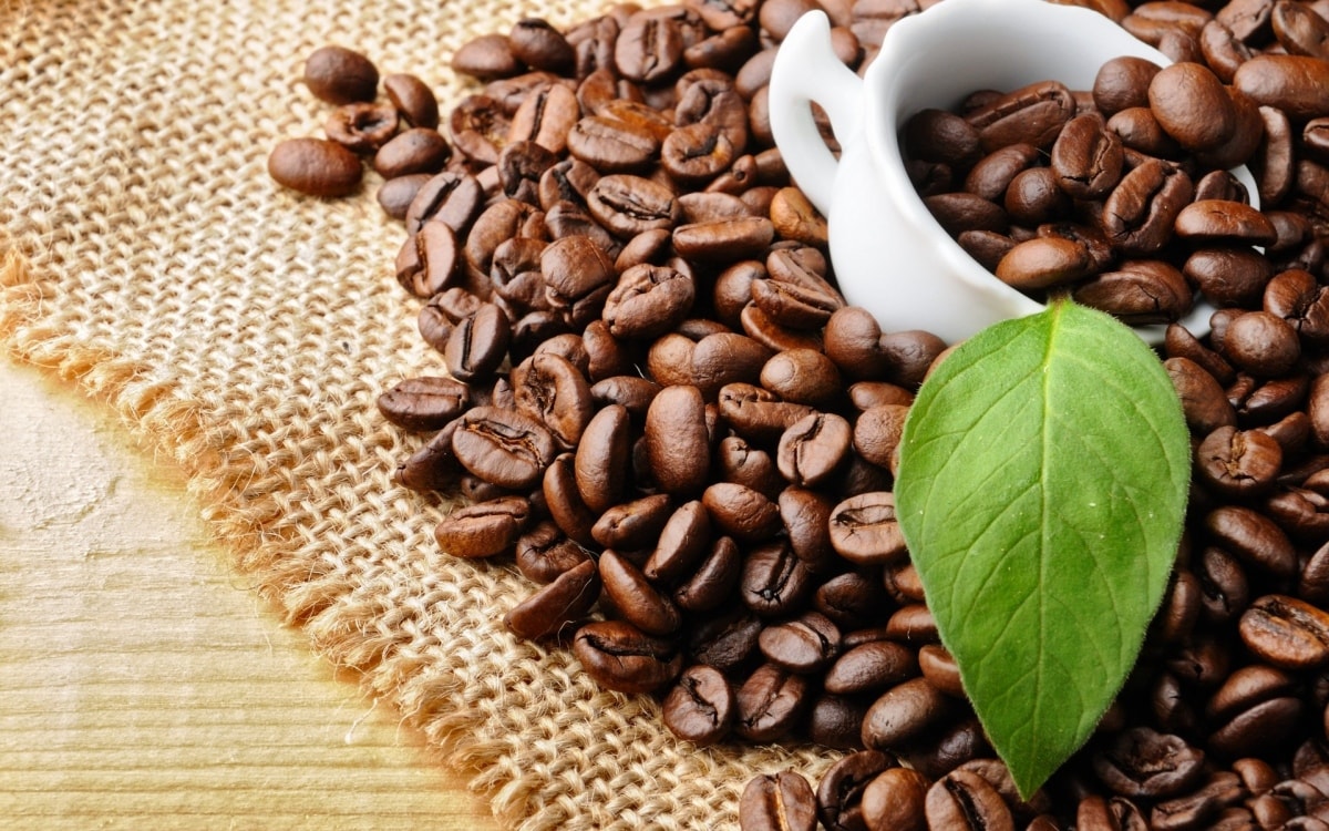 EU là thị trường xuất khẩu cà phê lớn nhất của Việt Nam. Ảnh minh họa