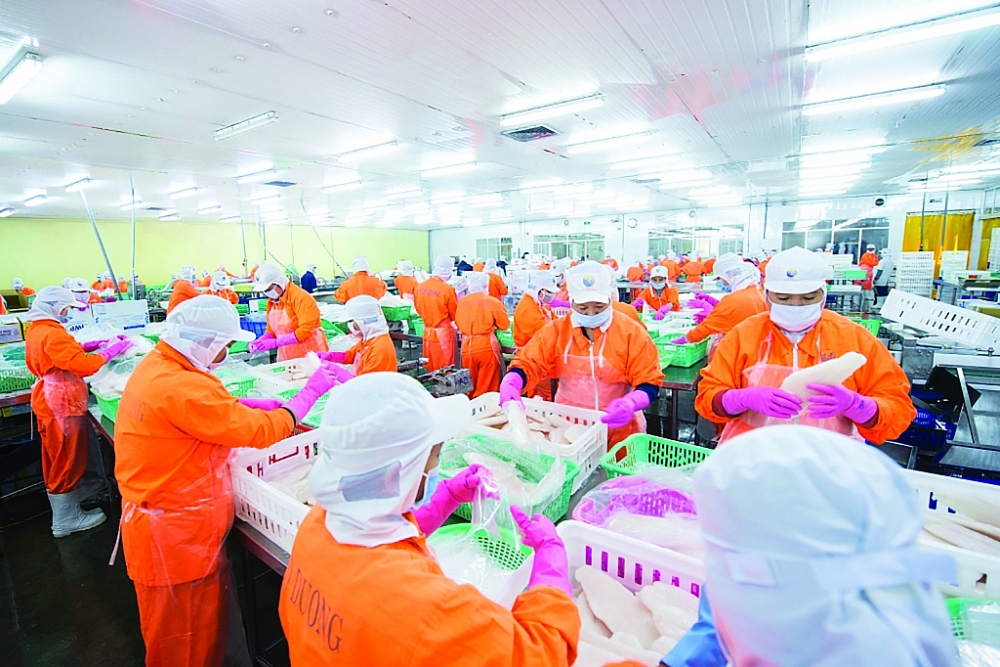 Chế biến thủy sản xuất khẩu tại Công ty Nam Việt