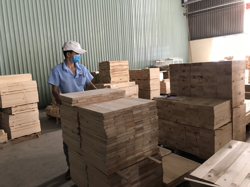 Xuất khẩu gỗ và lâm sản ngoài gỗ “nhắm” đích 18 - 20 tỷ USD